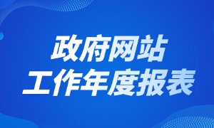 政府网站工作年度报表